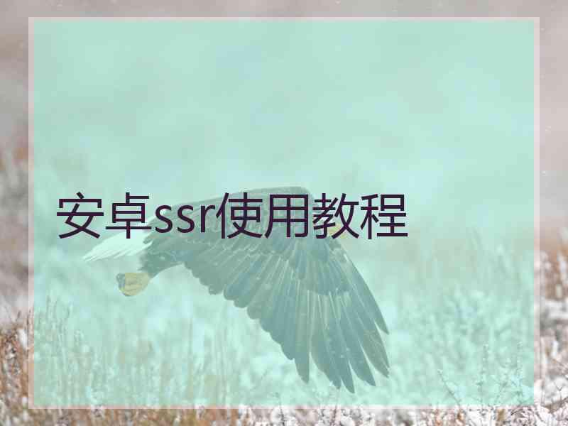 安卓ssr使用教程
