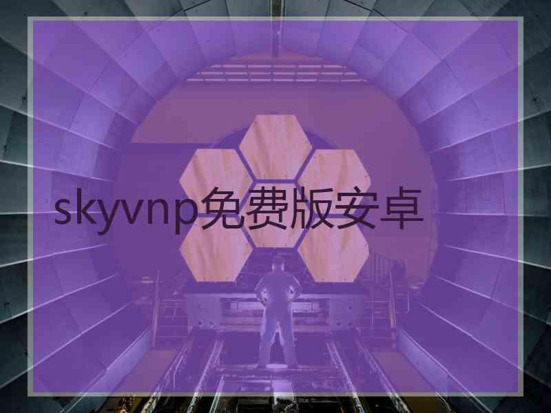 skyvnp免费版安卓