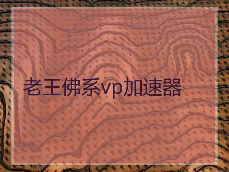 老王佛系vp加速器