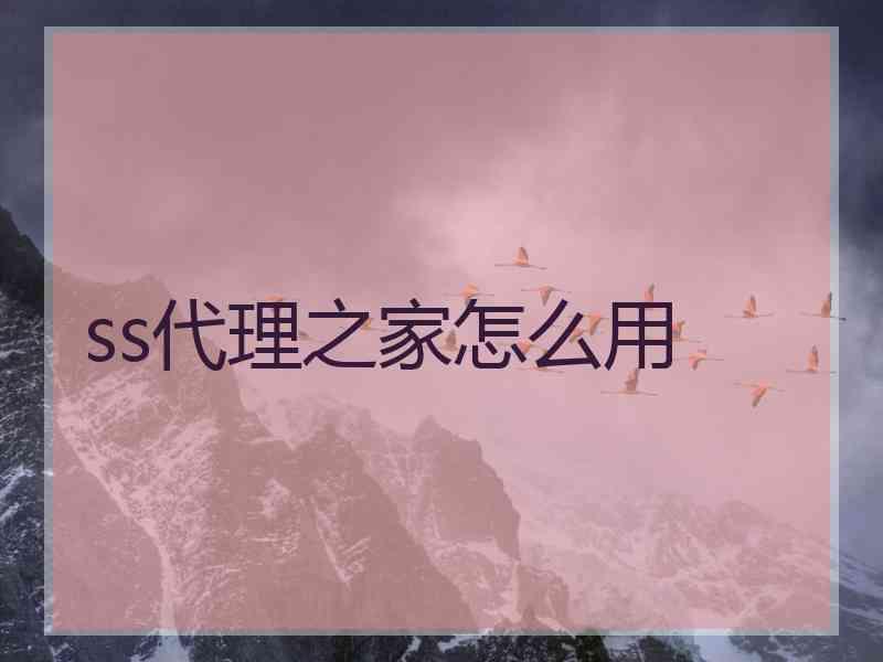 ss代理之家怎么用