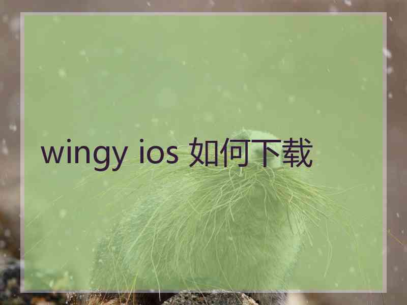 wingy ios 如何下载