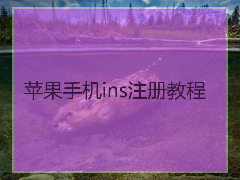 苹果手机ins注册教程
