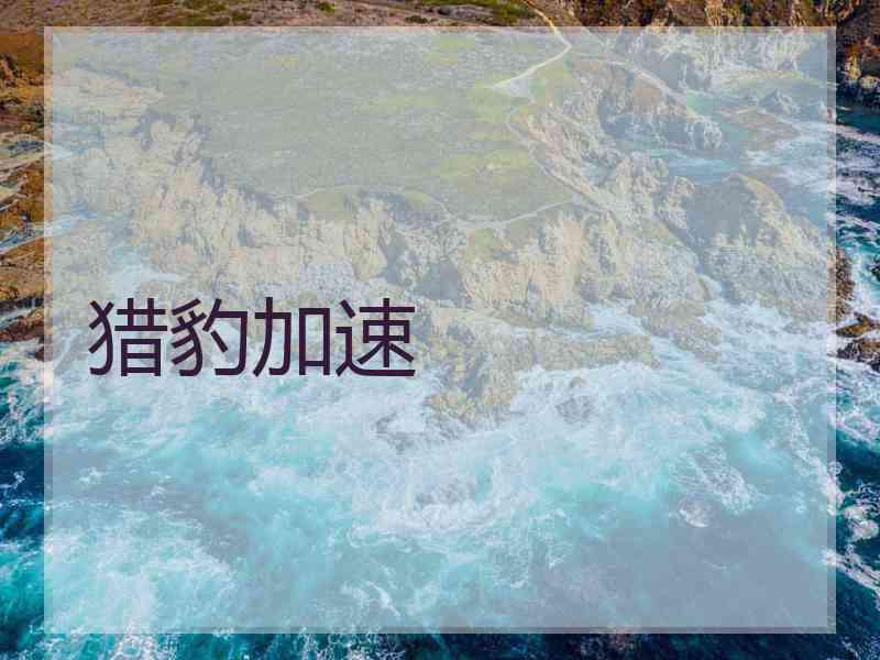 猎豹加速