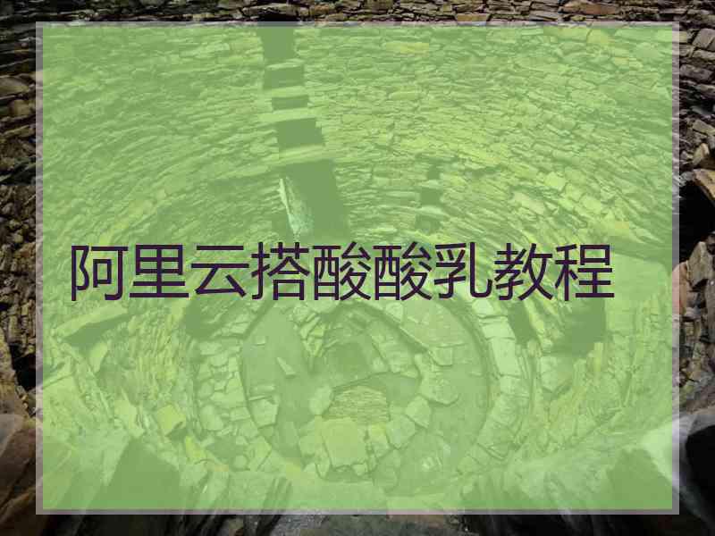 阿里云搭酸酸乳教程