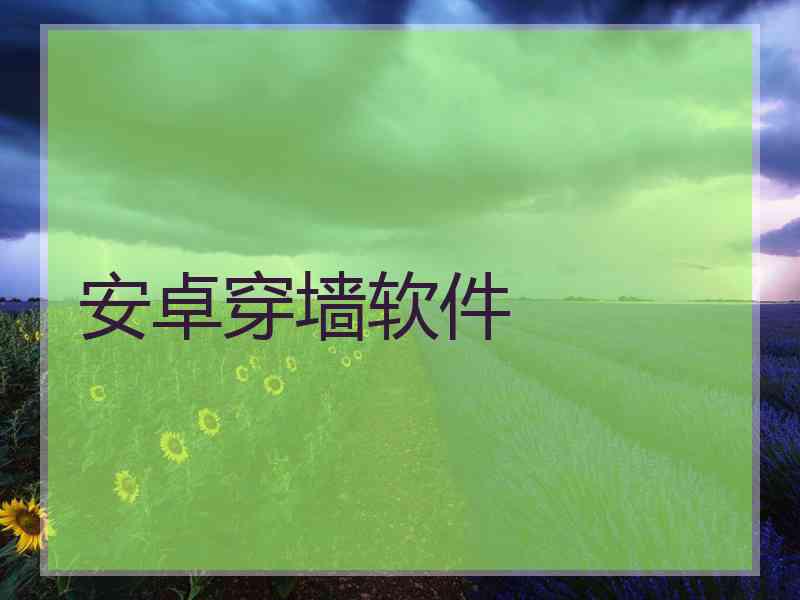 安卓穿墙软件