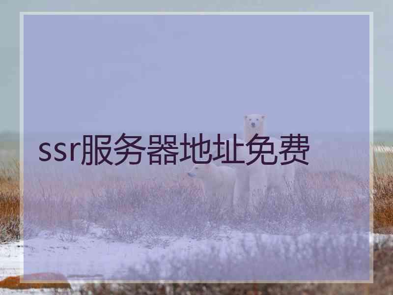 ssr服务器地址免费