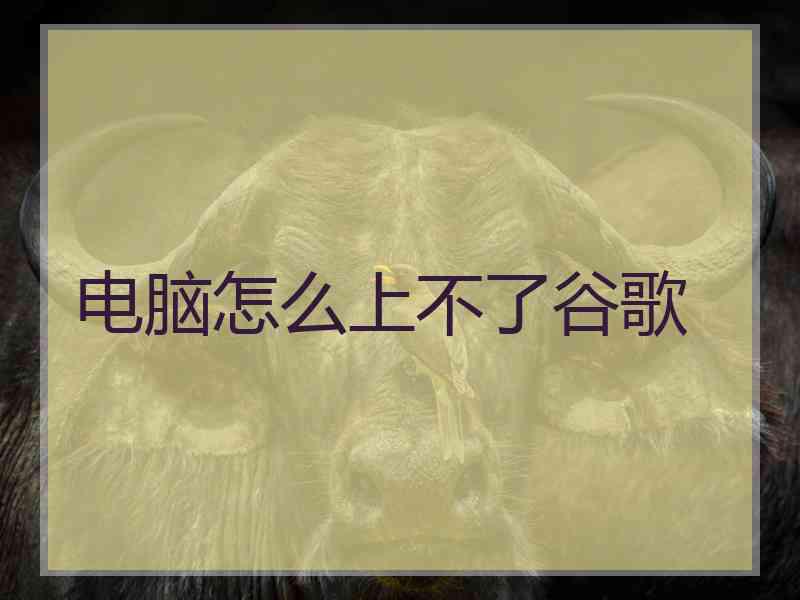 电脑怎么上不了谷歌