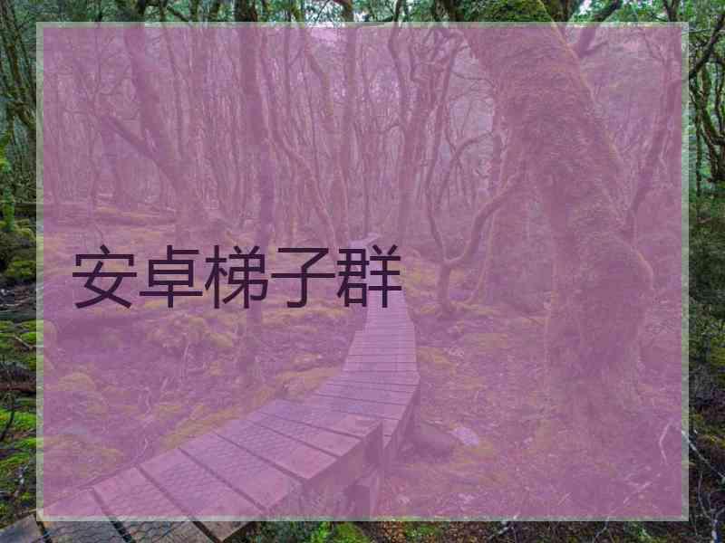 安卓梯子群
