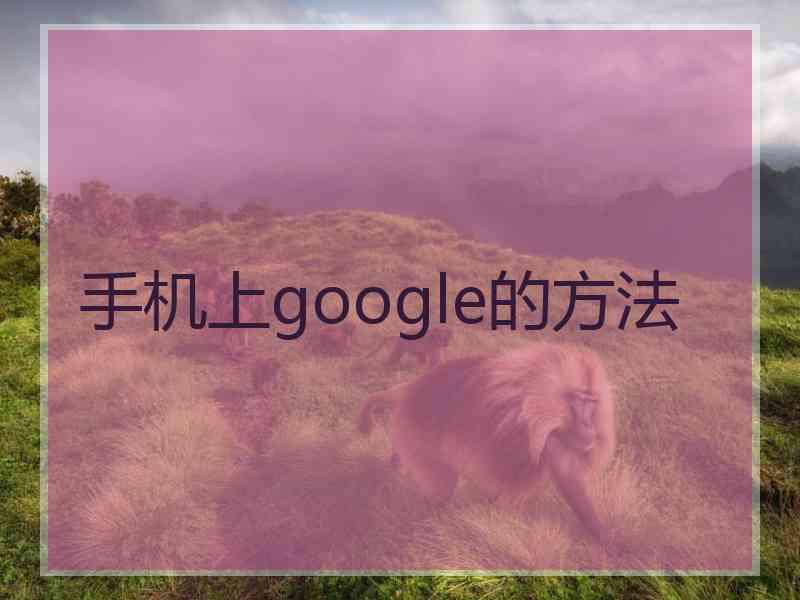 手机上google的方法