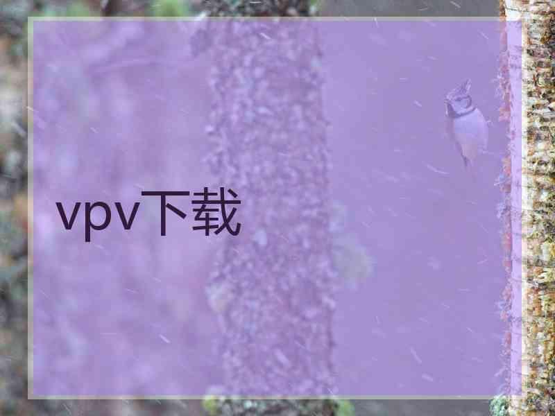 vpv下载