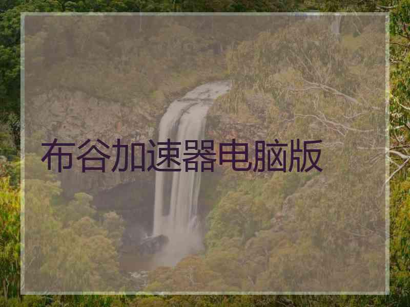布谷加速器电脑版