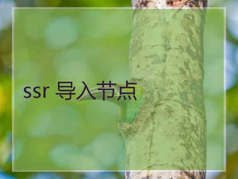 ssr 导入节点