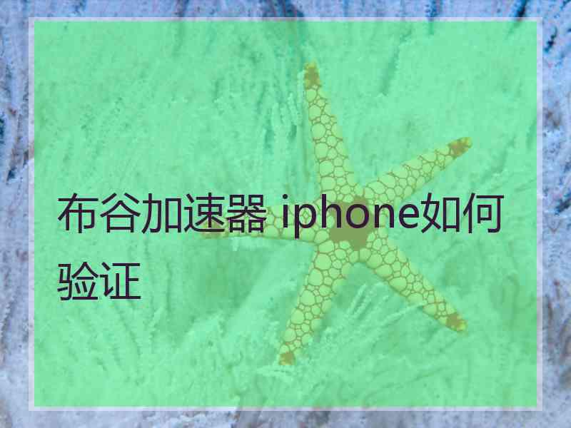 布谷加速器 iphone如何验证