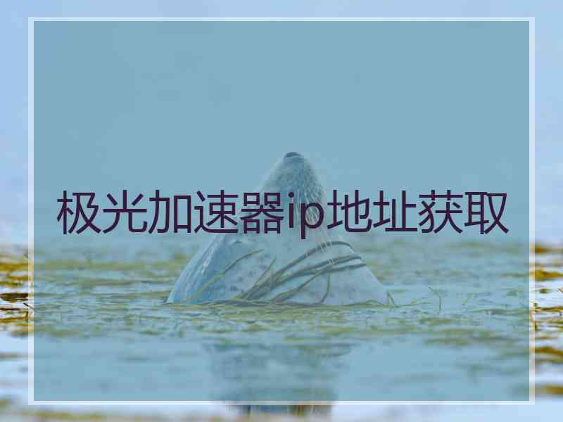 极光加速器ip地址获取