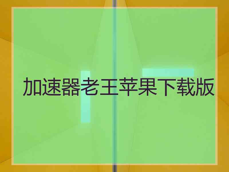 加速器老王苹果下载版