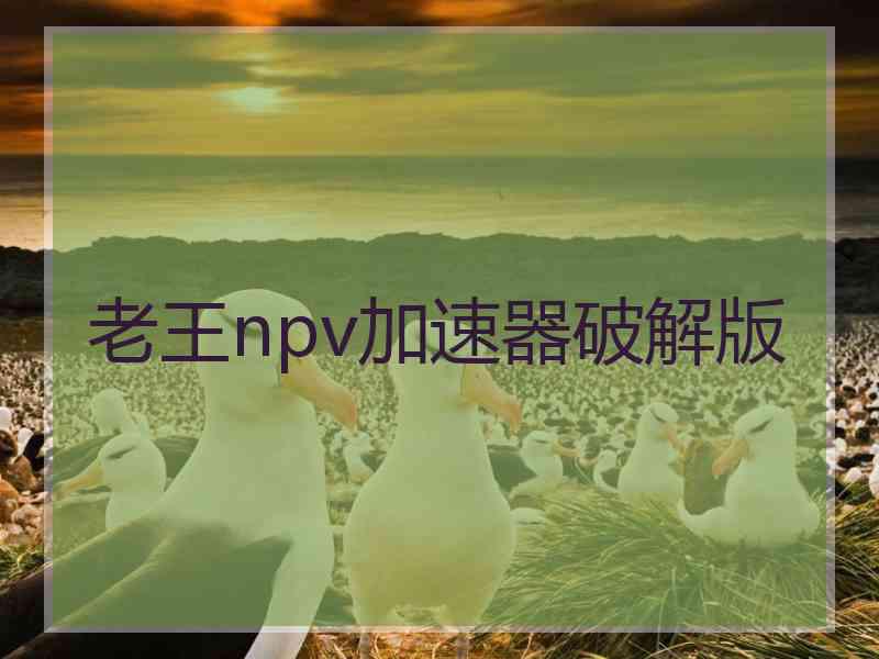 老王npv加速器破解版