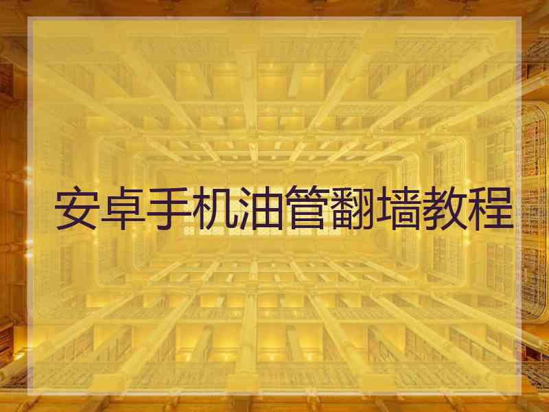 安卓手机油管翻墙教程