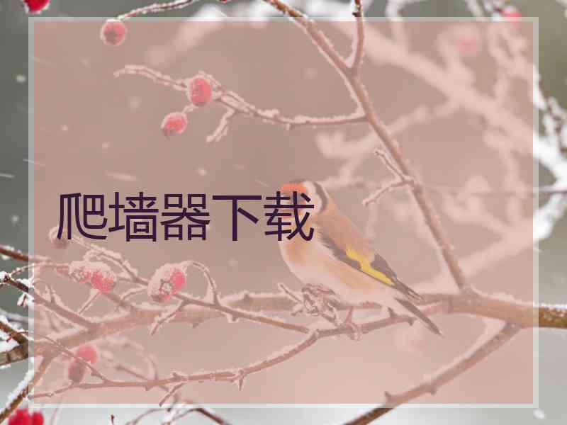 爬墙器下载