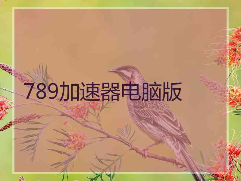 789加速器电脑版