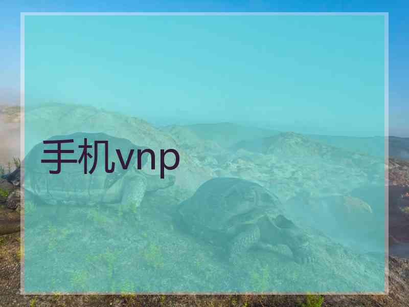 手机vnp