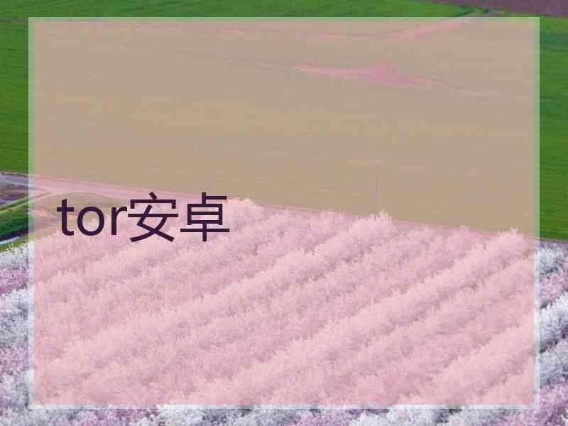 tor安卓