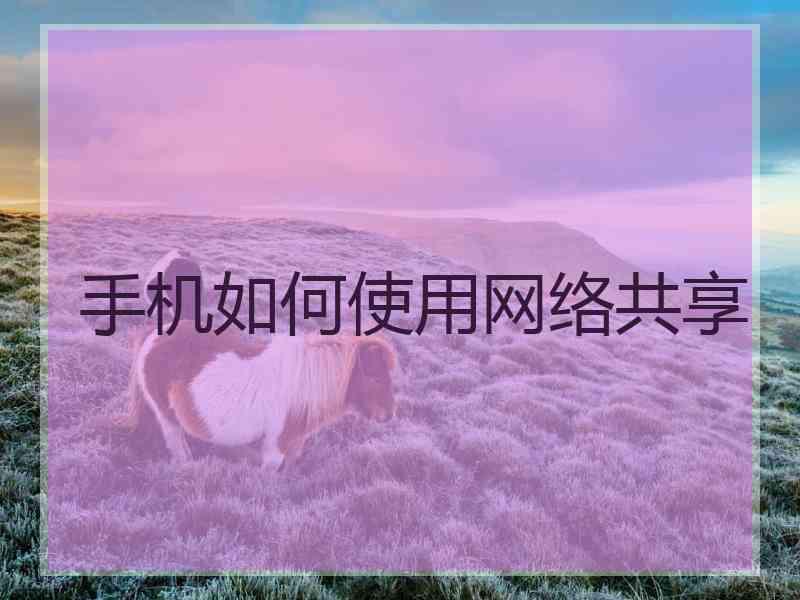 手机如何使用网络共享