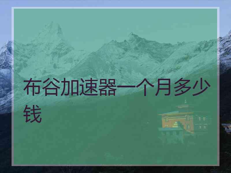 布谷加速器一个月多少钱