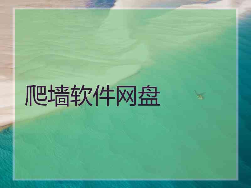 爬墙软件网盘