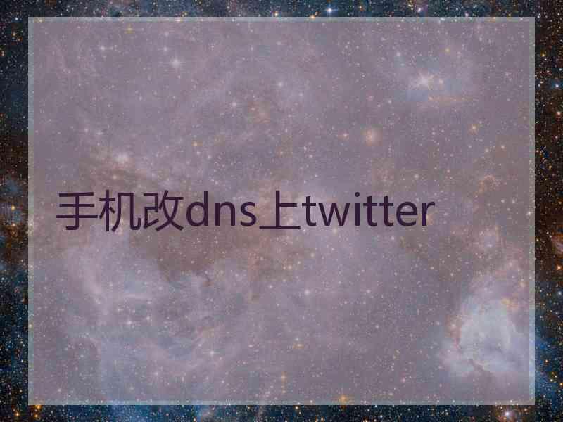 手机改dns上twitter