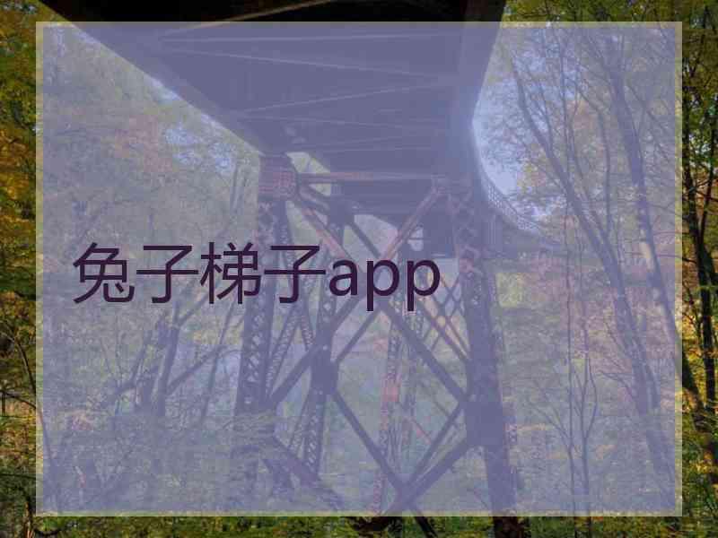兔子梯子app