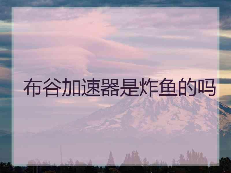 布谷加速器是炸鱼的吗