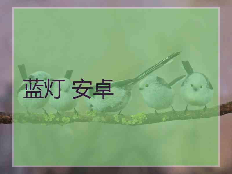 蓝灯 安卓