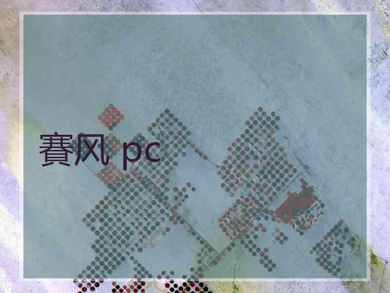 賽风 pc