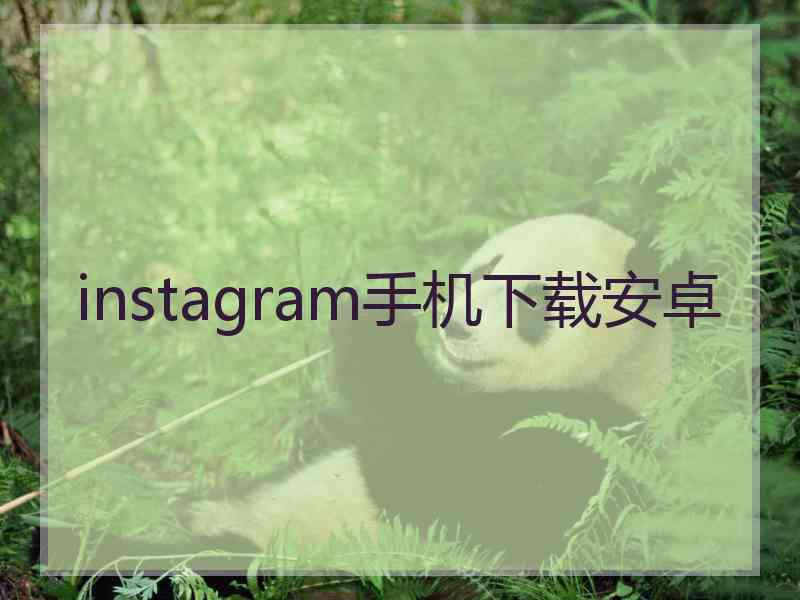 instagram手机下载安卓