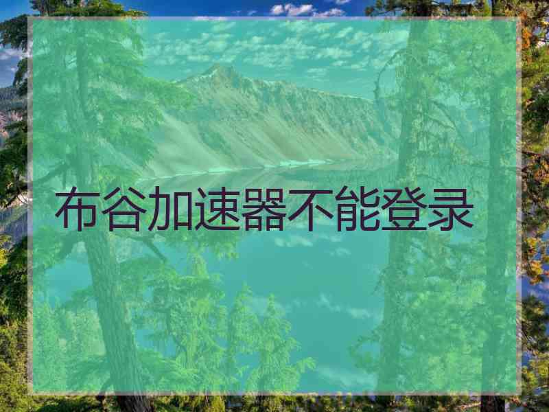 布谷加速器不能登录