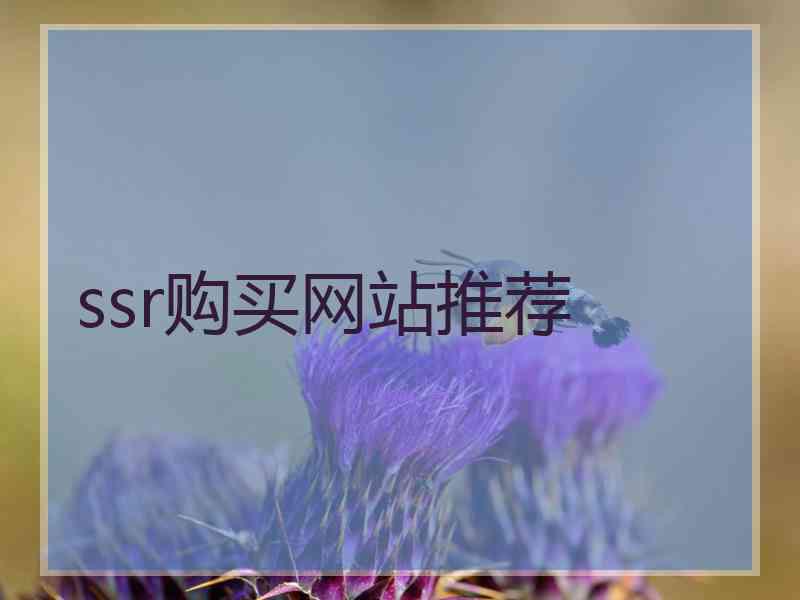ssr购买网站推荐