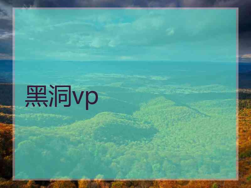 黑洞vp