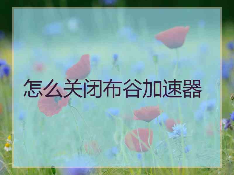 怎么关闭布谷加速器