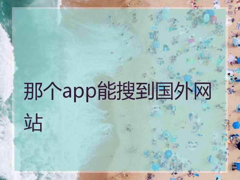 那个app能搜到国外网站