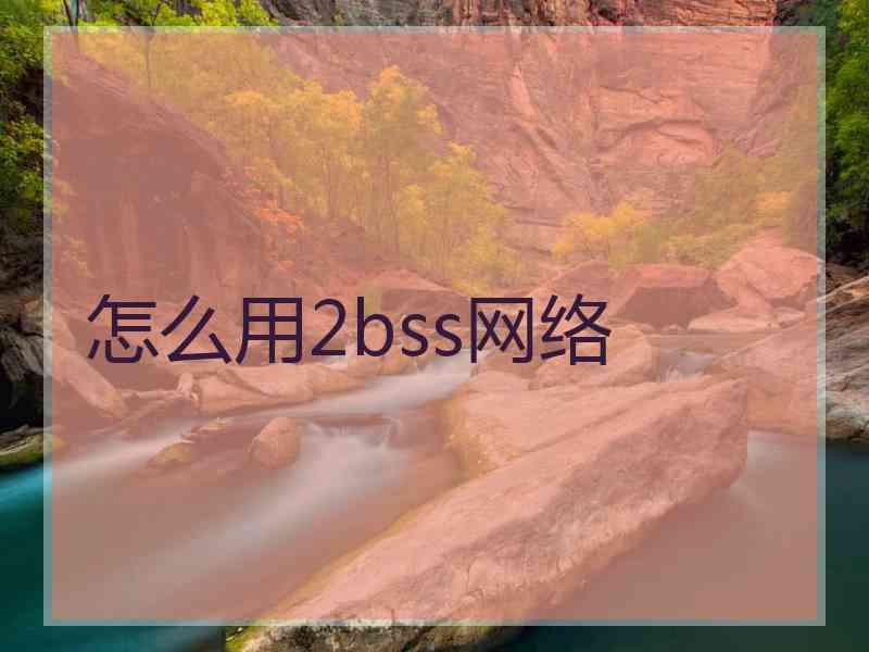 怎么用2bss网络