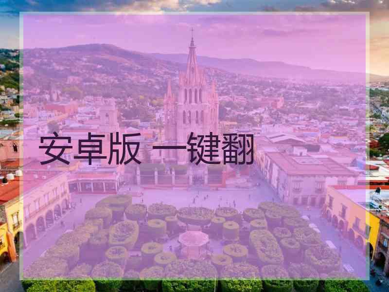 安卓版 一键翻
