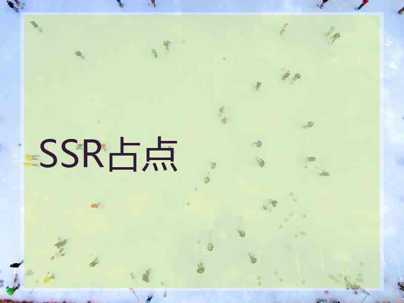 SSR占点