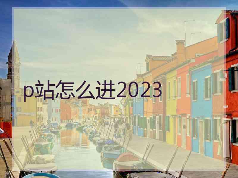 p站怎么进2023