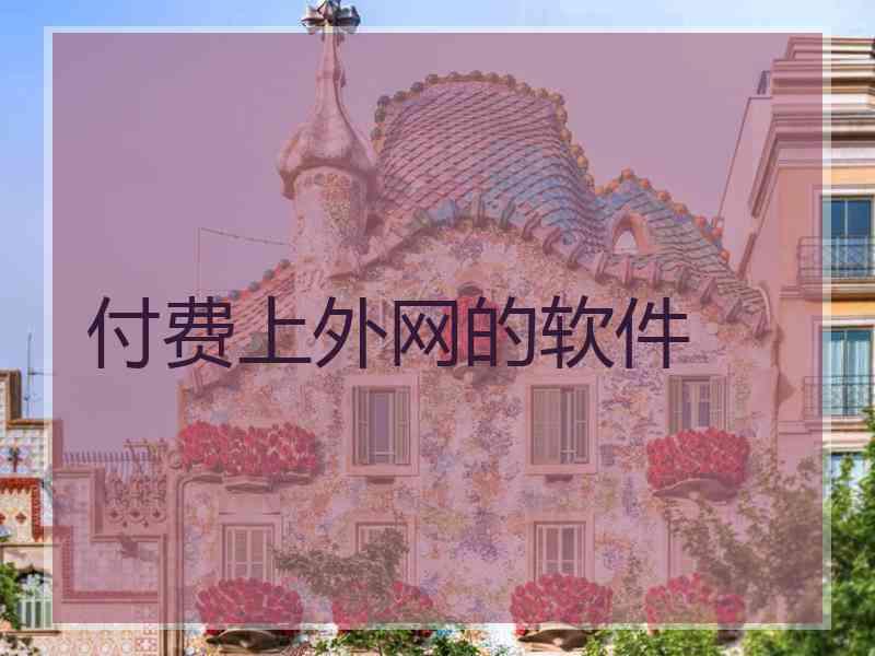 付费上外网的软件