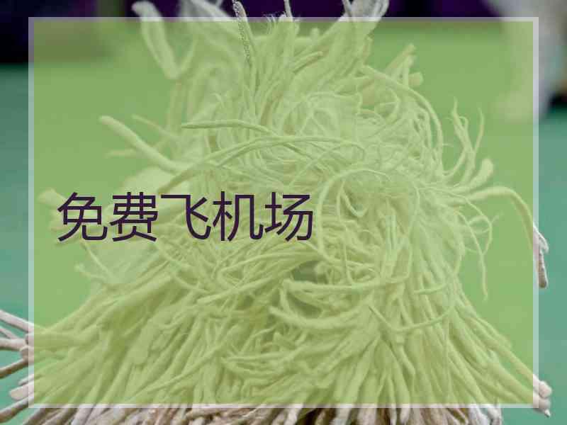 免费飞机场