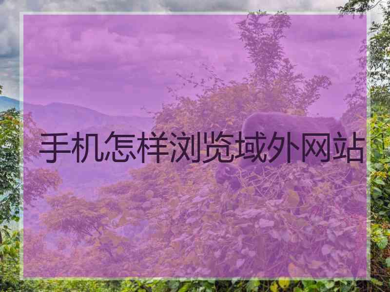 手机怎样浏览域外网站
