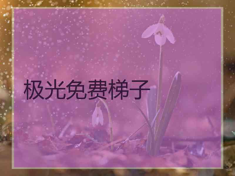 极光免费梯子