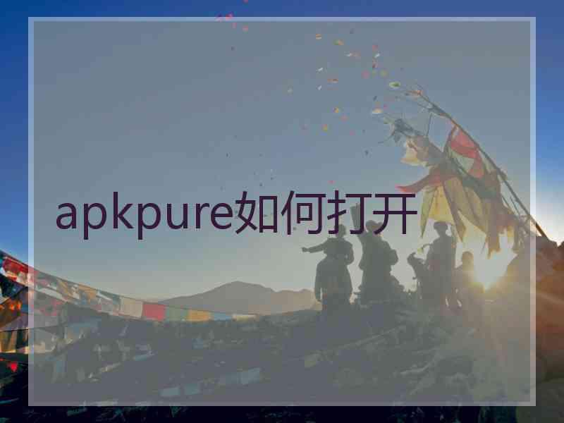 apkpure如何打开