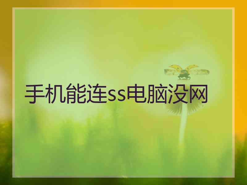手机能连ss电脑没网