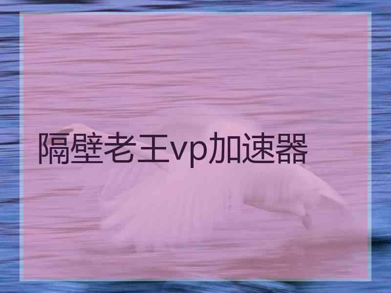 隔壁老王vp加速器